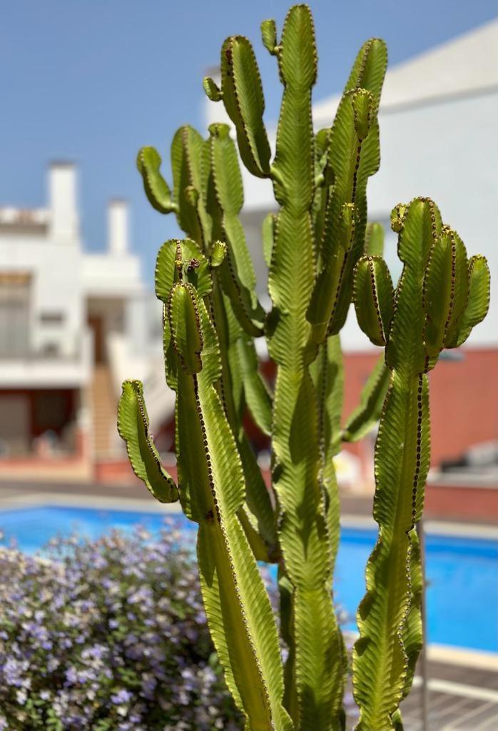 Burguna Apartment, 500m From *